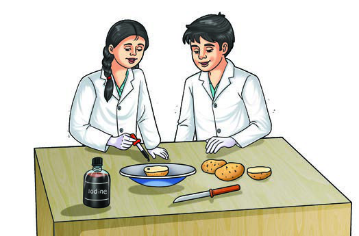 Fig. 3.7: Testing for the presence of starch in various food items